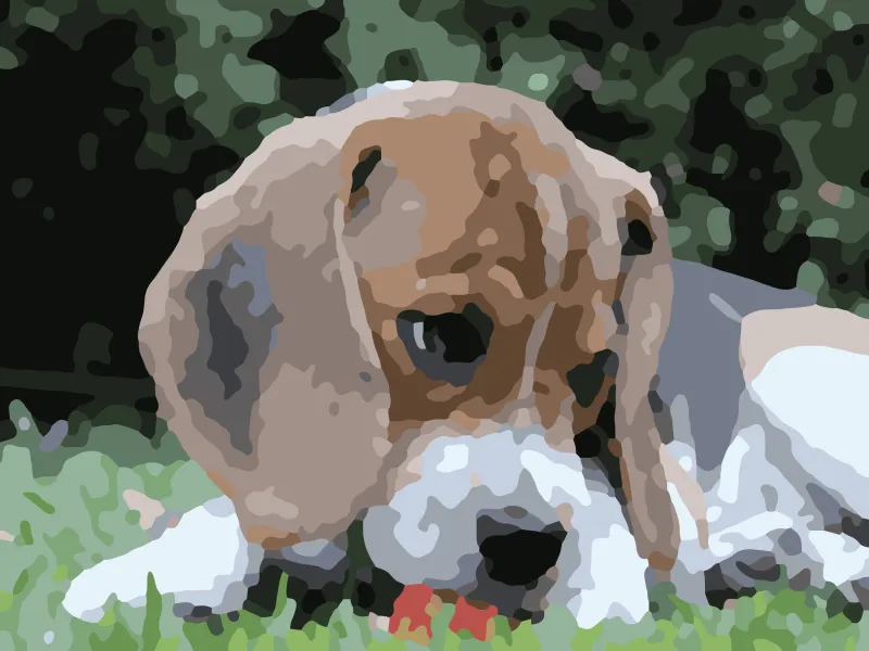 A beagle puppy as a painted paint-by-numbers preview and its numbered outline